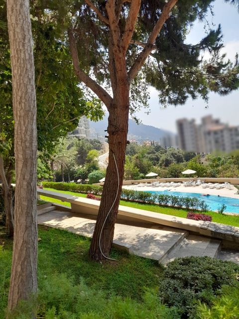 Chalet with a pool for sale in Sahel aalma, Keserwan