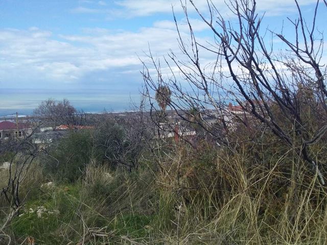 Sea-view land for sale in Mechref, Chouf - photo 3