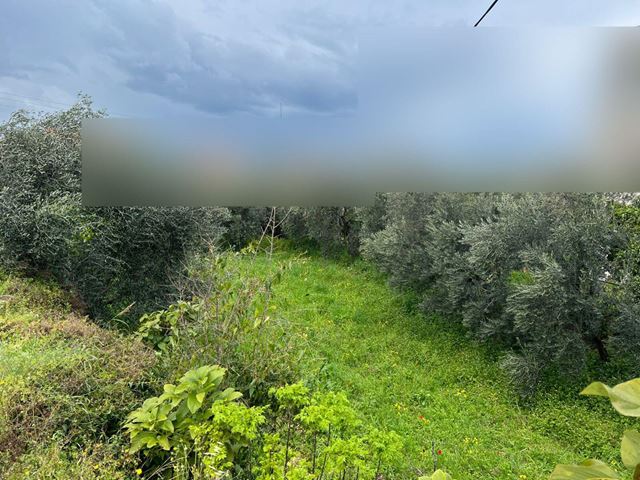 Land for sale in Batroun