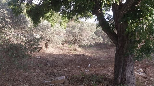 Land for sale in Batroun
