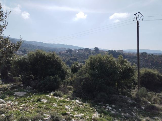 Land for sale in Batroun