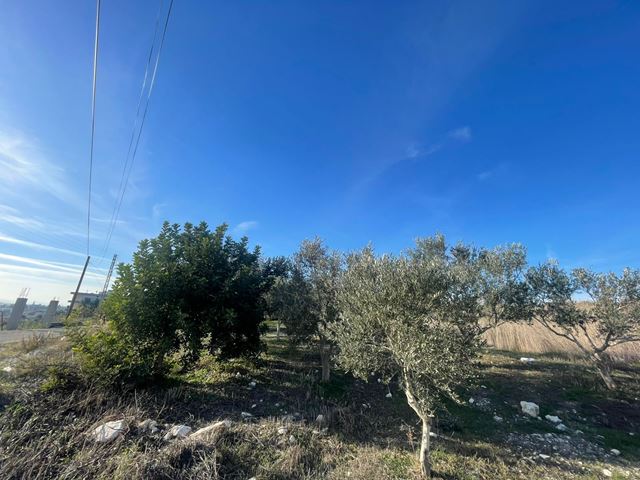 Land for sale in Baissour, Aley - photo 2