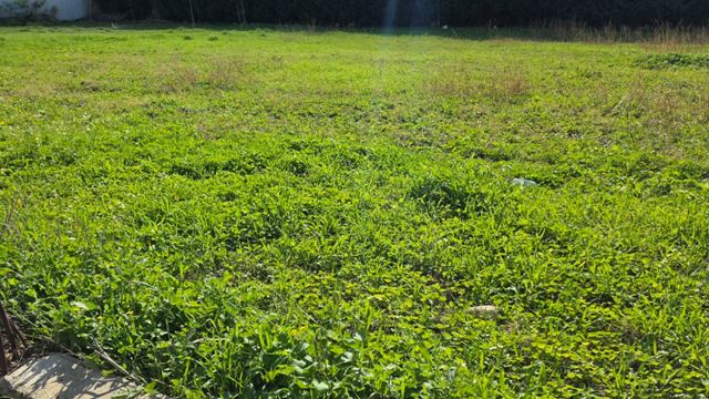 Land with a mountain view for sale in Chekka, Batroun