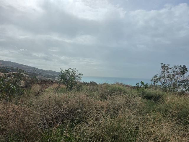 Sea-view land for sale in Kfar Aabida, Batroun
