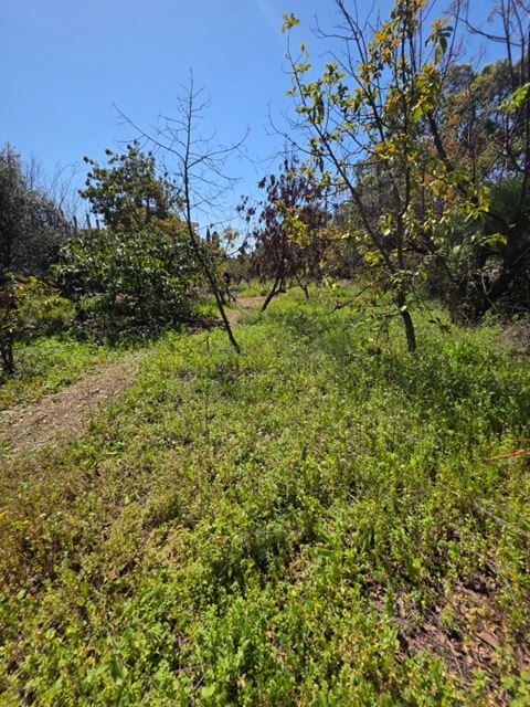 Land for sale in Batroun