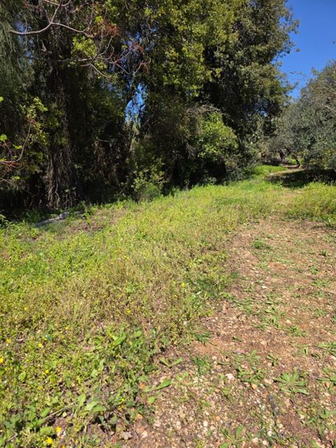 Land for sale in Batroun - photo 2