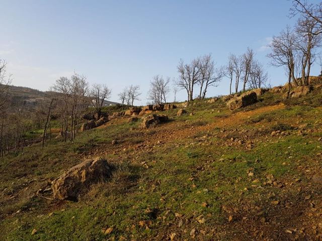 Land with a mountain view for sale in Fakra, Keserwan
