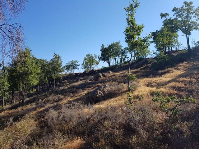 Land with a mountain view for sale in Fakra, Keserwan - photo 2