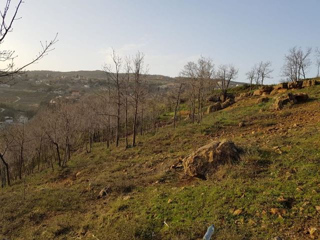 Land with a mountain view for sale in Fakra, Keserwan - photo 3