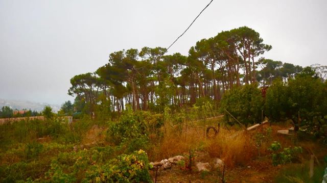 Apartment with a terrace for sale in Bolonia, Metn - photo 2
