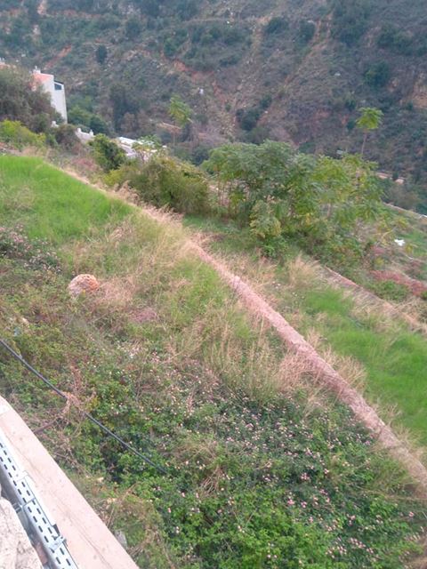 Land for sale in Mekalles, Metn - photo 3
