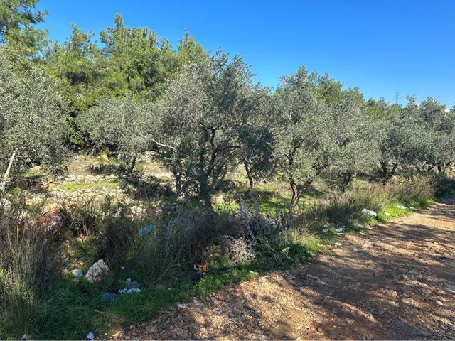 Land for sale in Aramoun, Aley