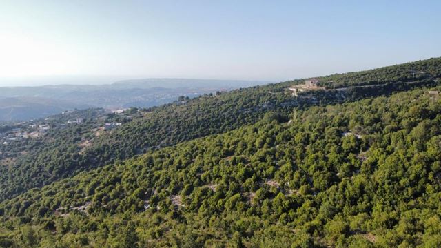 أرض للبيع في بترون - صورة 2