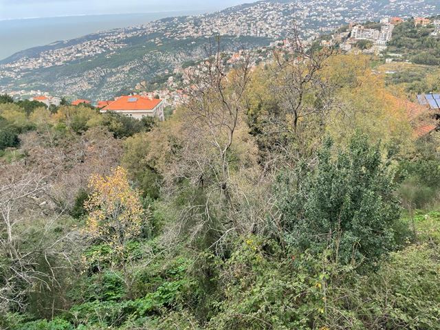 Land for sale in Bikfaya, Metn - photo 2