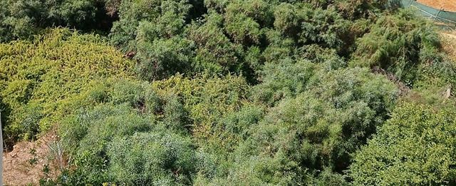 Land for sale in Aoukar, Metn