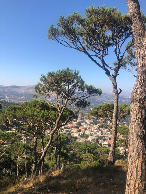 Land with a mountain view for sale in Naas, Metn - photo 3