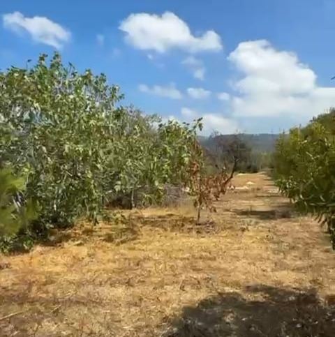 Land with a mountain view for sale in Aarbaniye, Baabda