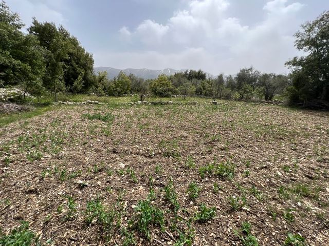 Land for sale in Chouf