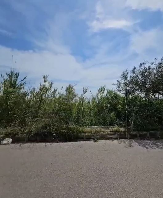Sea-view land for sale in Adma, Keserwan - photo 2