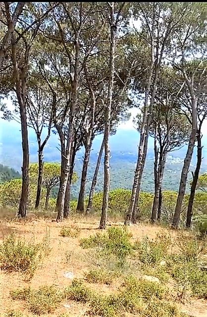 Land with a mountain view for sale in Broumana, Metn