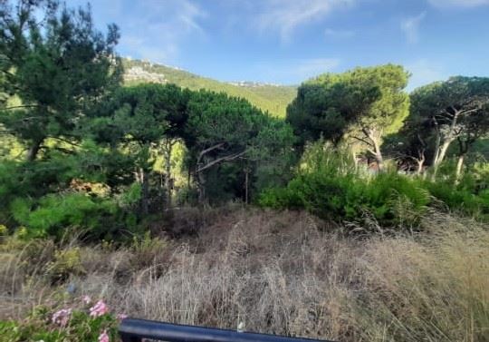 Land with a mountain view for sale in Monteverde, Metn - photo 2