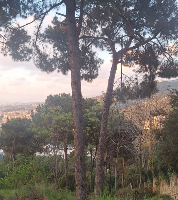 Sea-view land for sale in Ain Saade, Metn