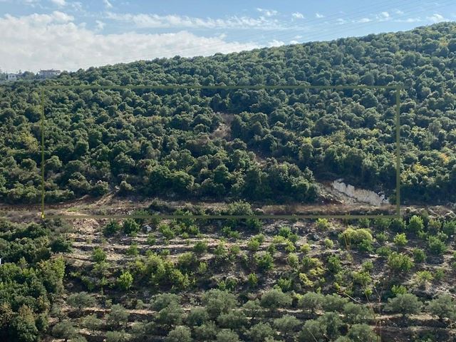 Sea-view land for sale in Batroun
