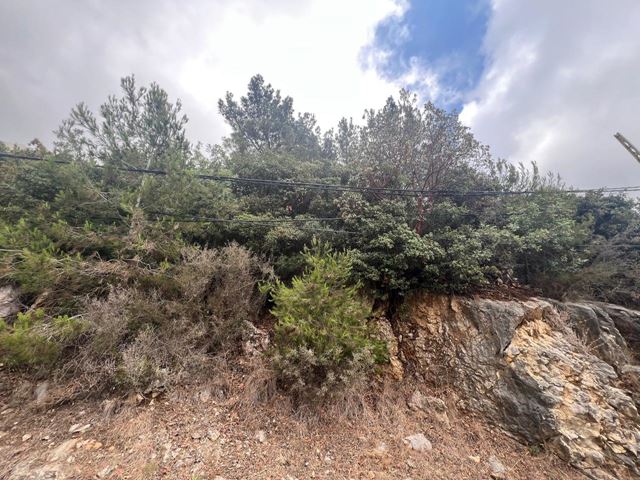 Land for sale in Chnaniir, Keserwan - photo 3