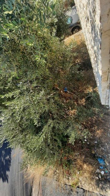 Apartment with a terrace for sale in Bsalim, Metn - photo 2