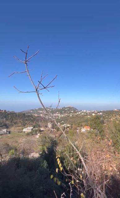 Land for sale in Ghine, Keserwan