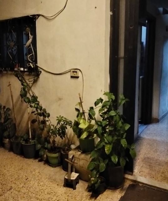 House for sale in Basatine, Aley - photo 3