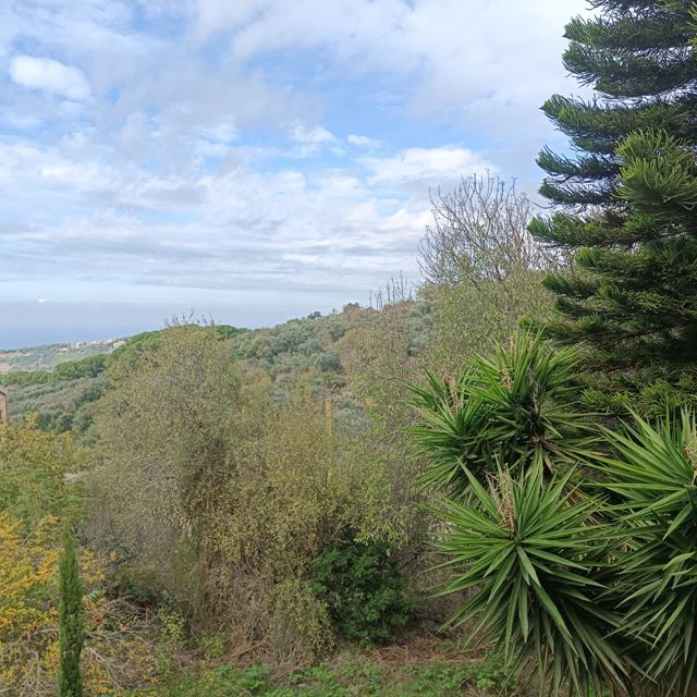 Land for sale in Kornet El Hamra, Metn - photo 2