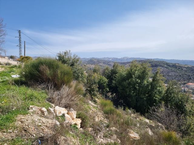Land for sale in Batroun - photo 3