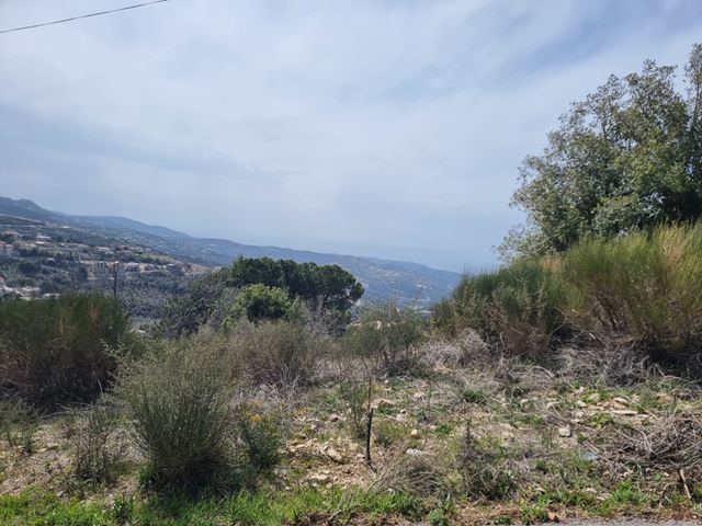 Land for sale in Batroun