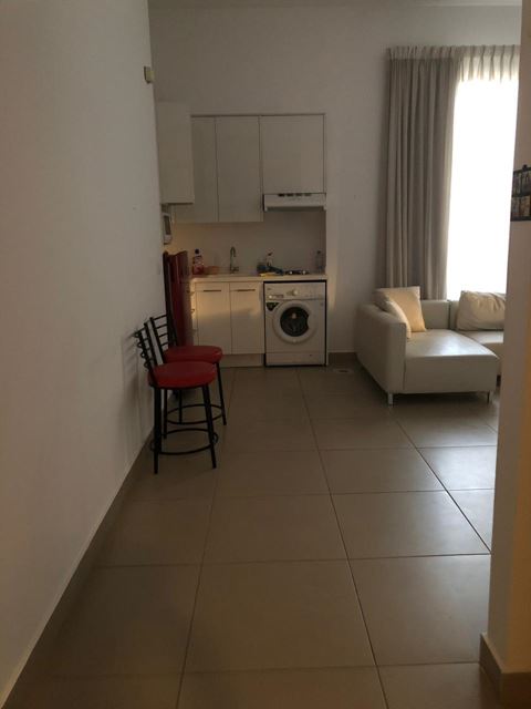 Furnished apartment for rent in Achrafieh, Beirut - photo 3