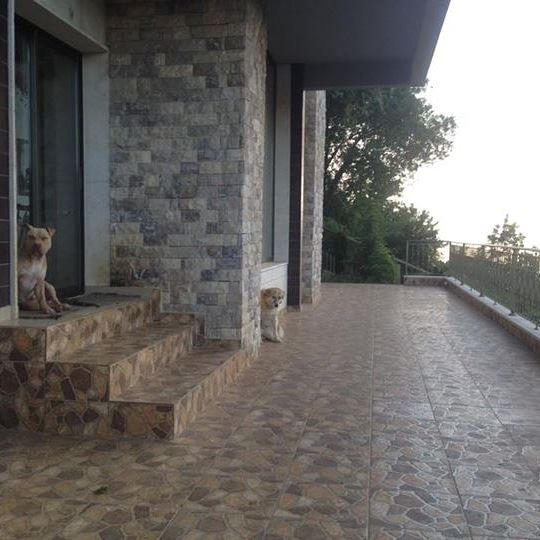 Sea-view villa for sale in Keserwan - photo 3