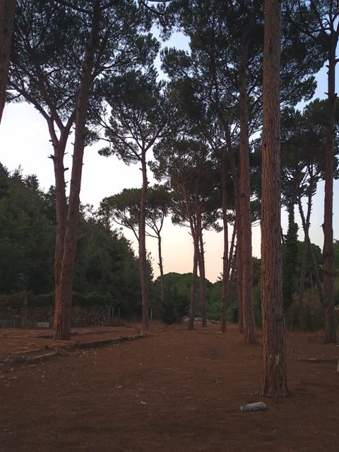 Land with a mountain view for sale in Jouret El Ballout, Metn