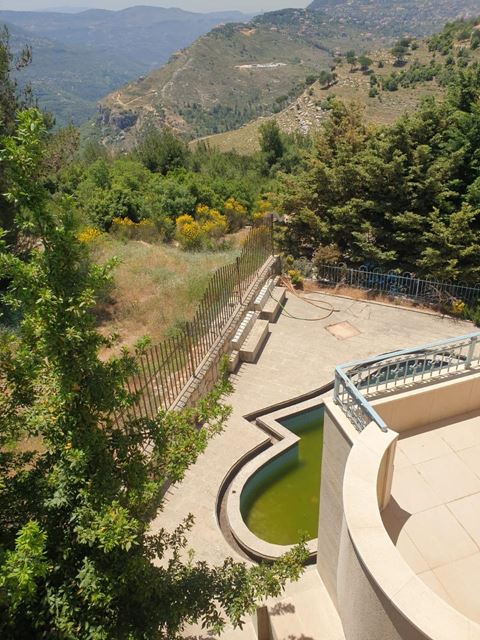 Villa with a pool for sale in Aley