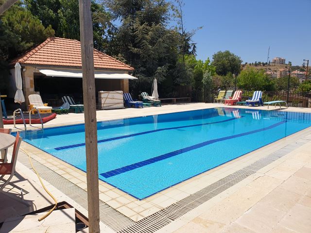 Villa with a pool for sale in Bhamdoun, Aley - photo 3
