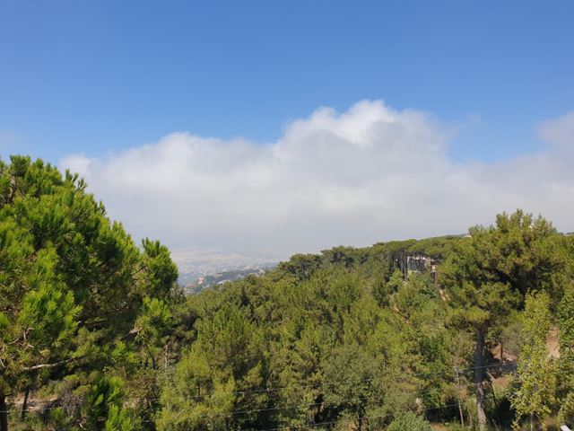 Land with a mountain view for sale in Aley