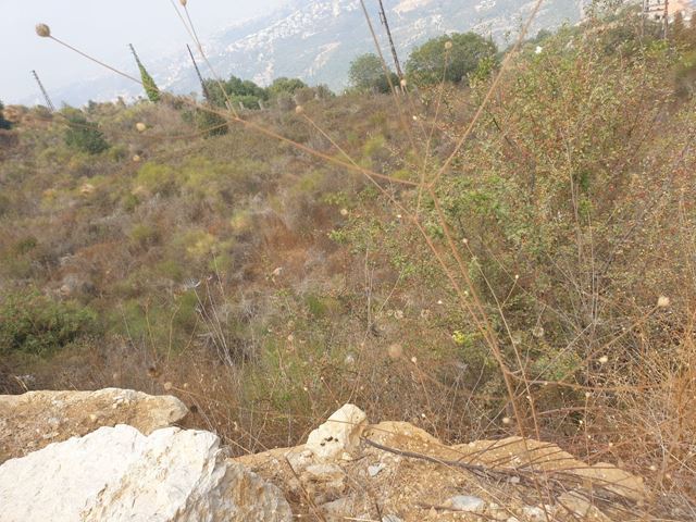 Land with a mountain view for sale in Aabediyeh, Aley
