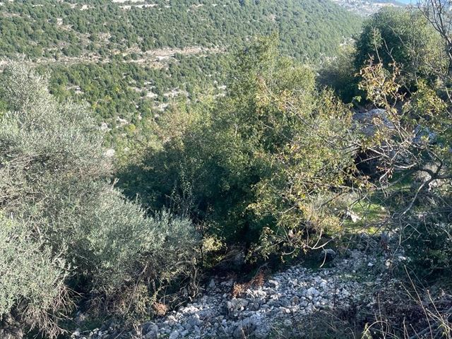Land with a mountain view for sale in Ras osta, Jbeil - photo 2