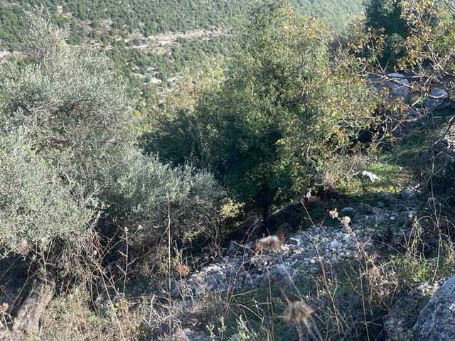 Land with a mountain view for sale in Ras osta, Jbeil - photo 3