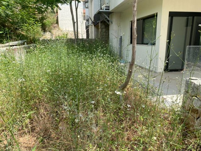 Sea-view apartment for sale in Kfarhabeib, Keserwan - photo 3