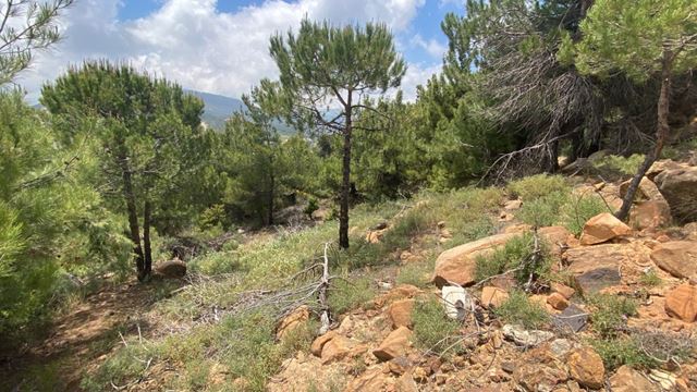 Land with a mountain view for sale in Qanat Bakish, Keserwan