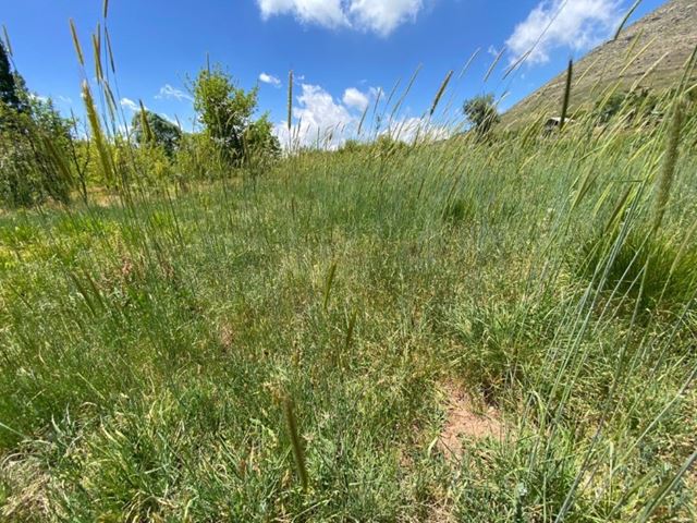 Land with a mountain view for sale in Faraya, Keserwan - photo 2