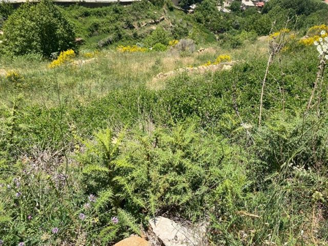 Land with a mountain view for sale in Faraya, Keserwan - photo 2