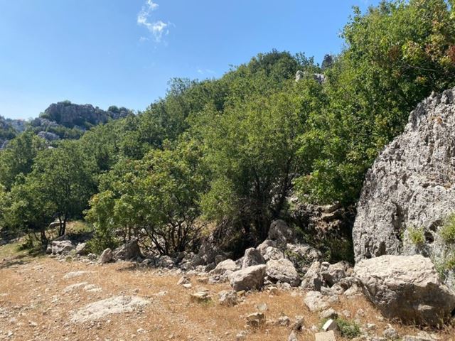 Land with a mountain view for sale in Faytroun, Keserwan