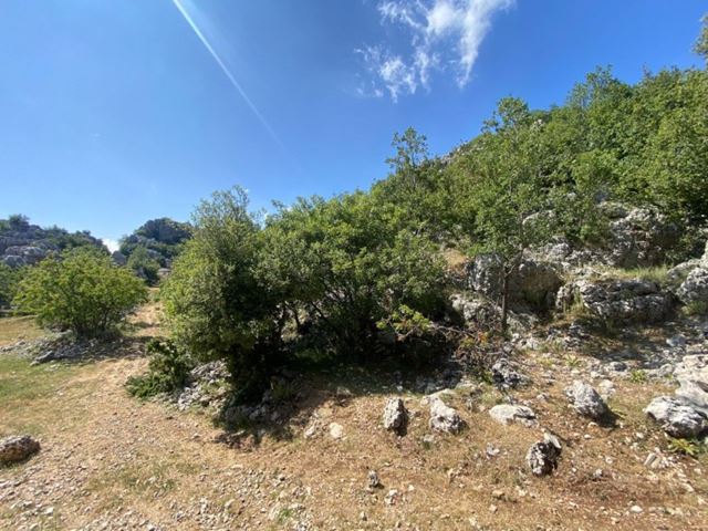 Land with a mountain view for sale in Faytroun, Keserwan - photo 2
