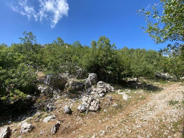 Land with a mountain view for sale in Faytroun, Keserwan - photo 3